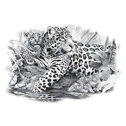 animace jaguárů