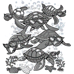 Animace želv